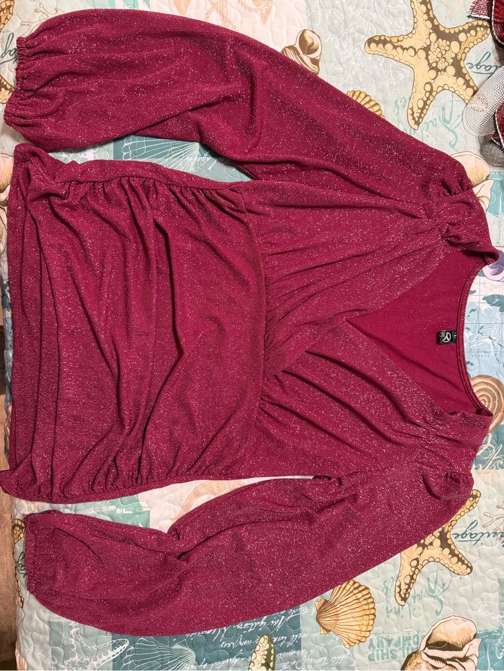 Women's Sparkle Long-Sleeve Pullover Top - Berry